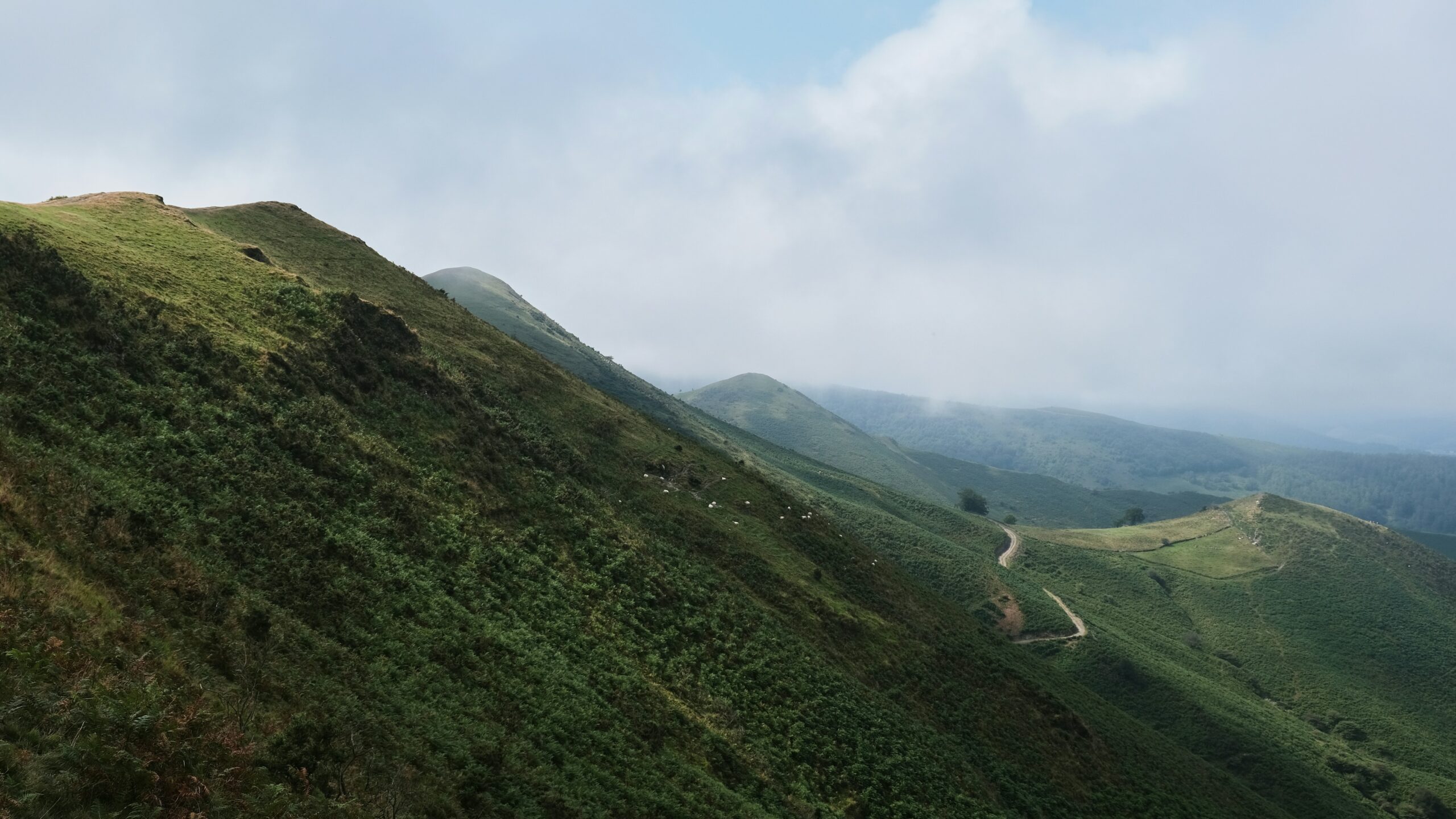 pays_basque_montagne_nature_océan_légumes_fruits_alimentation_agriculture_végétale_locale_biologique